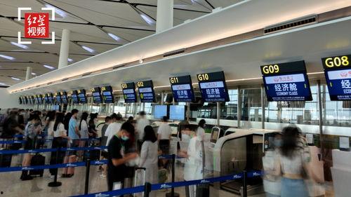 天府机场最新爆料信息网,航站楼设计揭秘，未来交通枢纽全解析