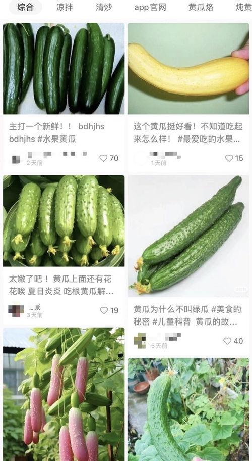 最新黄瓜爆料视频大全集,揭秘幕后真相与精彩瞬间