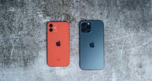 苹果14最新爆料信号